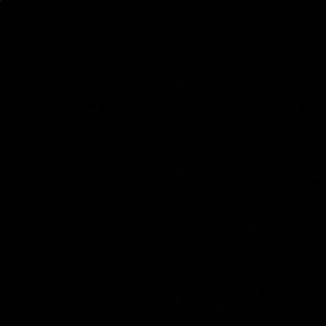 Meet your Posher, Mallory